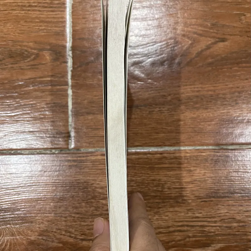 Hoàn cảnh hậu hiện đại - Jean-Francois Lyotard (7) 1008142