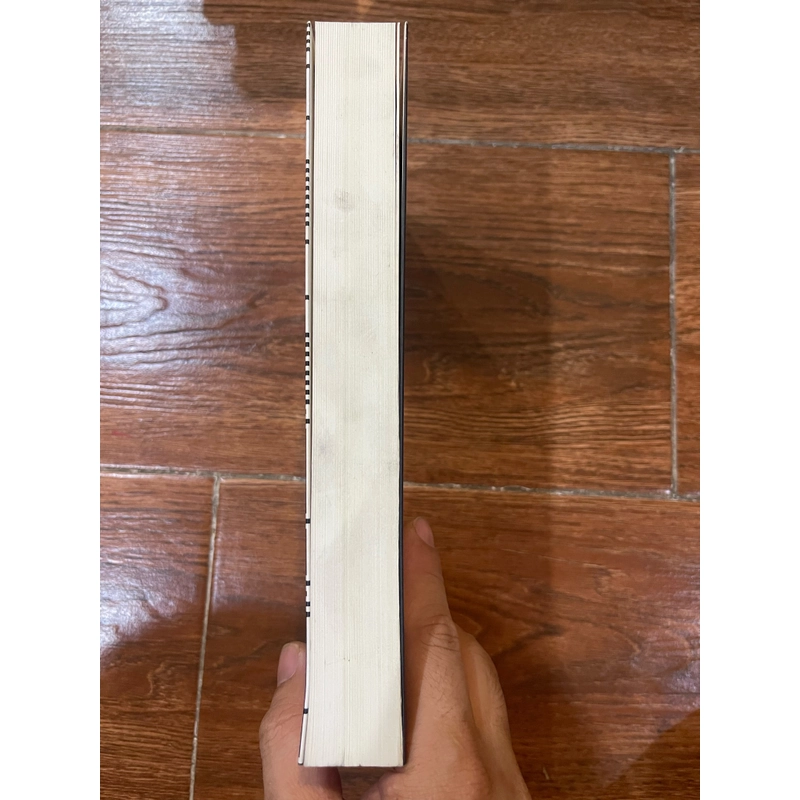 Tiểu thuyết V. – Thomas Pynchon (9) 455211