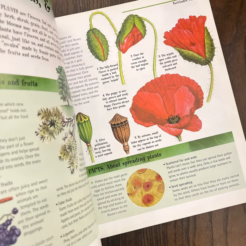 ✨𝑻𝒉𝒆 𝑩𝒊𝒈 𝑩𝒐𝒐𝒌 𝒐𝒇 𝑲𝒏𝒐𝒘𝒍𝒆𝒅𝒈𝒆✨ 697523