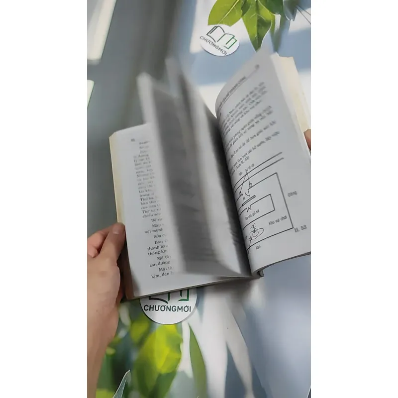 Phong Thủy Đổi Vận Để Thành Công - Thiệu Vĩ Hoa 776195