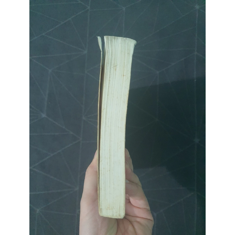 "Dấu tích người nước ngoài trong lịch sử Viẹt Nam" - Trần Thái Bình 493141