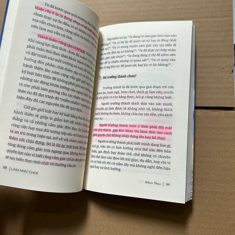 Làm như chơi - Minh Niệm 784164