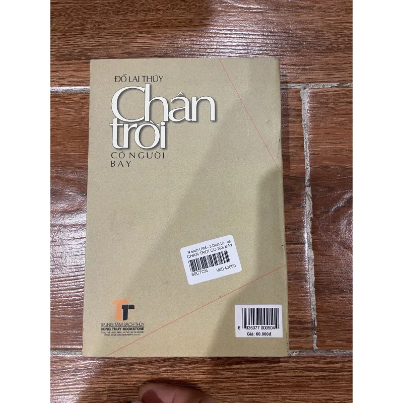 Chân trời có người bay - Đỗ Lai Thuý (8) 1004781