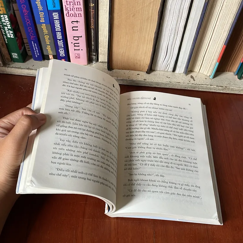 II Tự Truyện: Bob, Chú Mèo Đường Phố - JAMES BOWEN - 2017 569287
