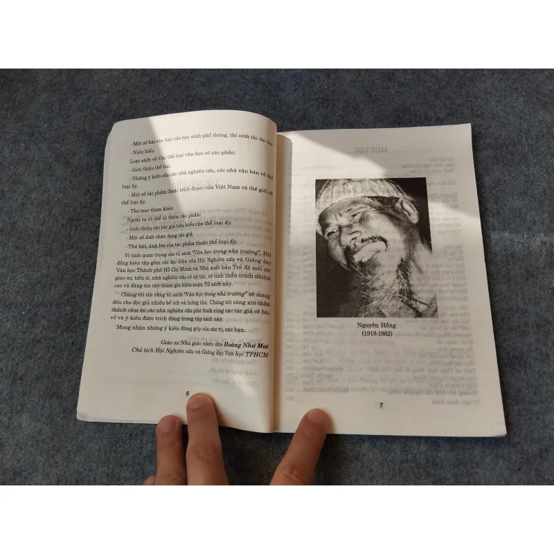 NGUYÊN HỒNG KHỔ ĐAU VÀ SÁNG TẠO 719974