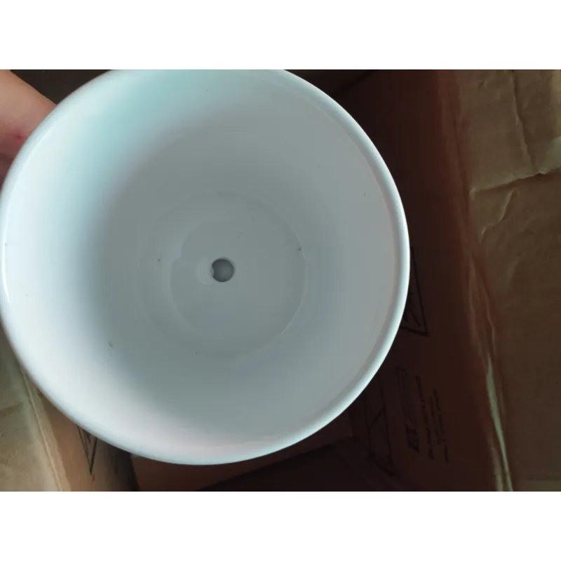 Chậu gốm trắng trồng cây 753583