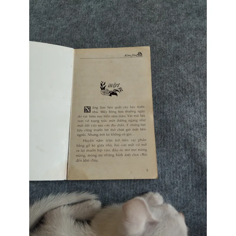 NGÀY MAI ĐÃ MUỘN RỒI - KIM HÀI 567789