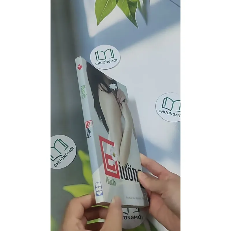 Giường - Phan An 694986