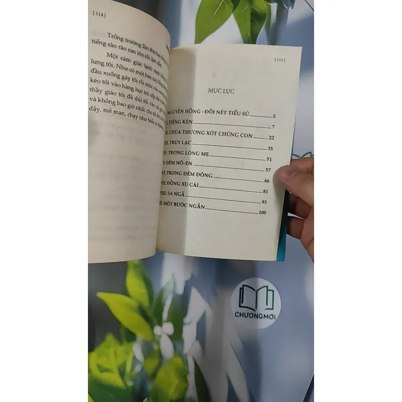 Những ngày thơ ấu - Nguyên Hồng 798423