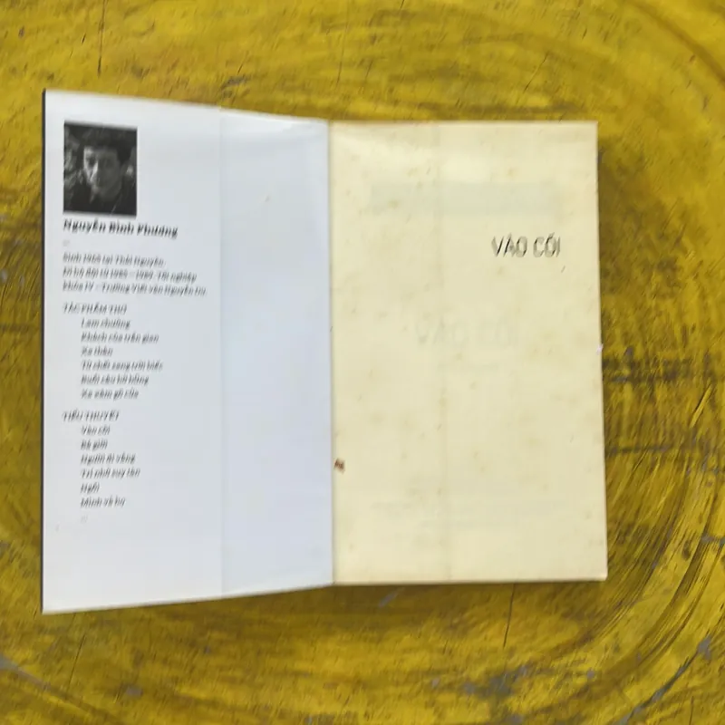 VÀO CÕI - NGUYỄN BÌNH PHƯƠNG 1002510