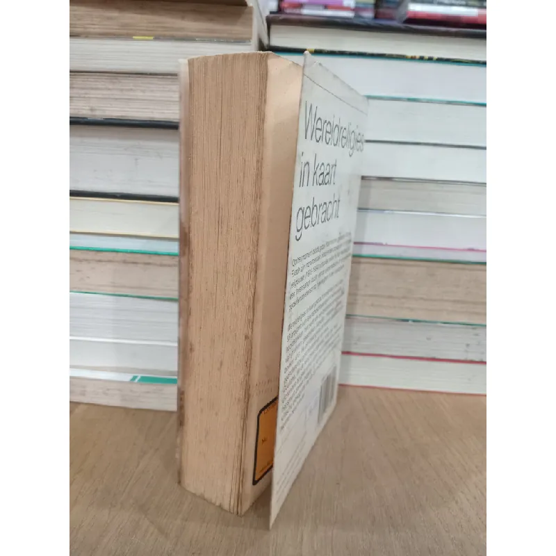 Wereldreligies in kaart gebracht - Eliade, Couliano 703796