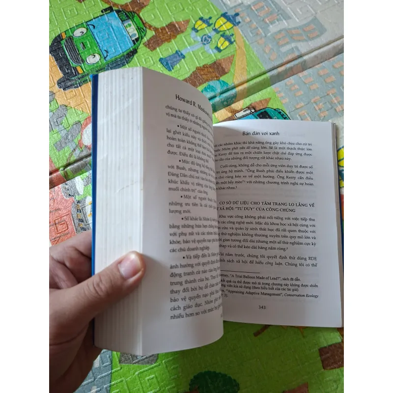 Bán Đàn Voi Xanh 929909