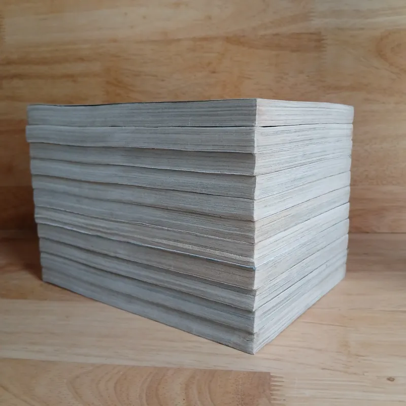 Truyện Tranh Dấu Ấn Lửa (Bộ 11 Tập) - H.Izawa & K.Yamada 697926