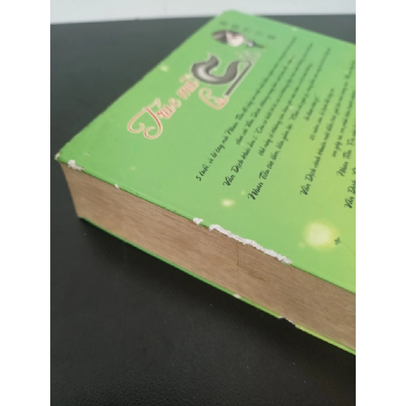 Trúc Mã Là Sói - Mèo Lười Ngủ Ngày New 890% HCM.ASB0801 341261