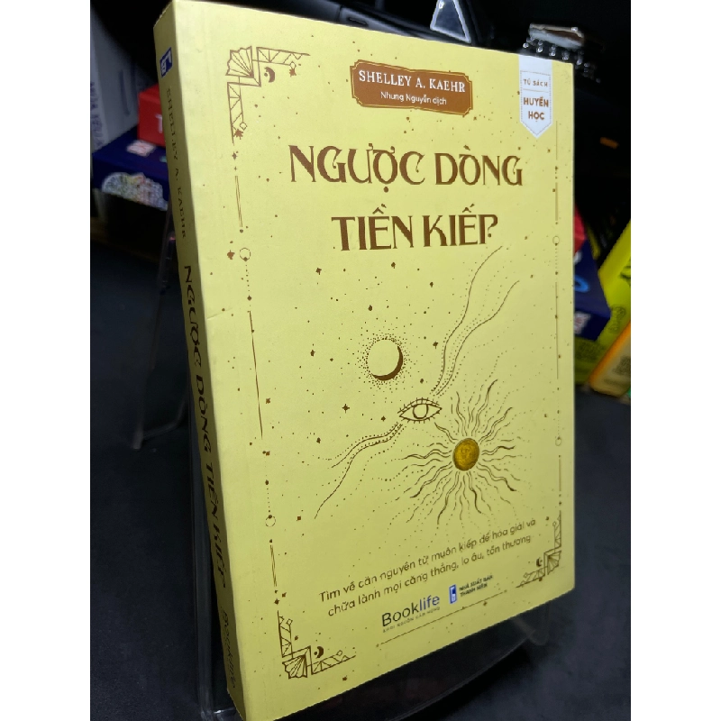 Ngược dòng tiền kiếp 2022 mới 85% mực xanh trang đầu Shelley A Kaehr HPB2905 SÁCH VĂN HỌC 459490