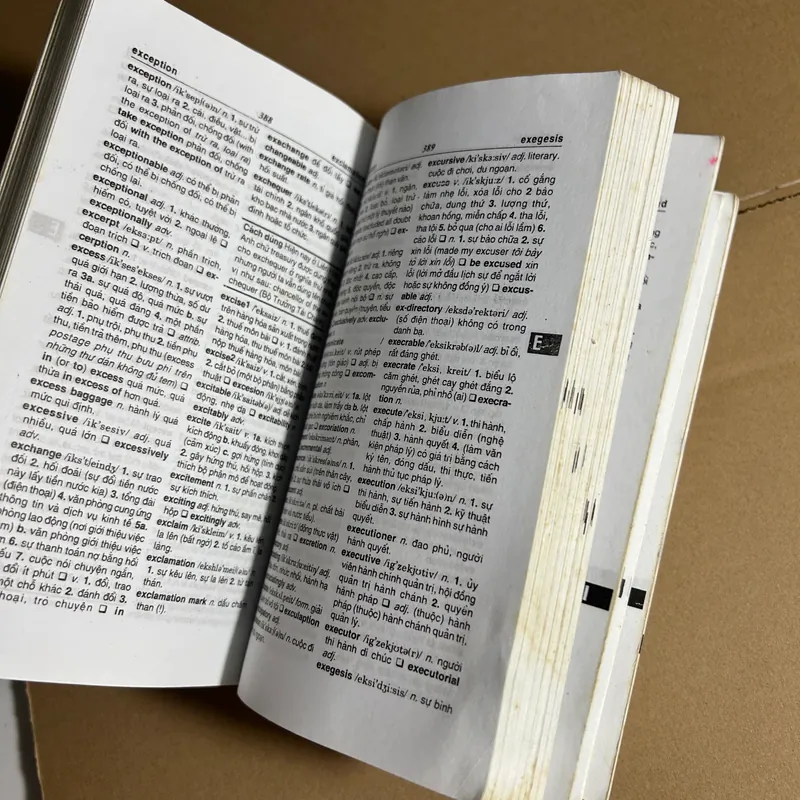 Từ điển Anh Việt 732234