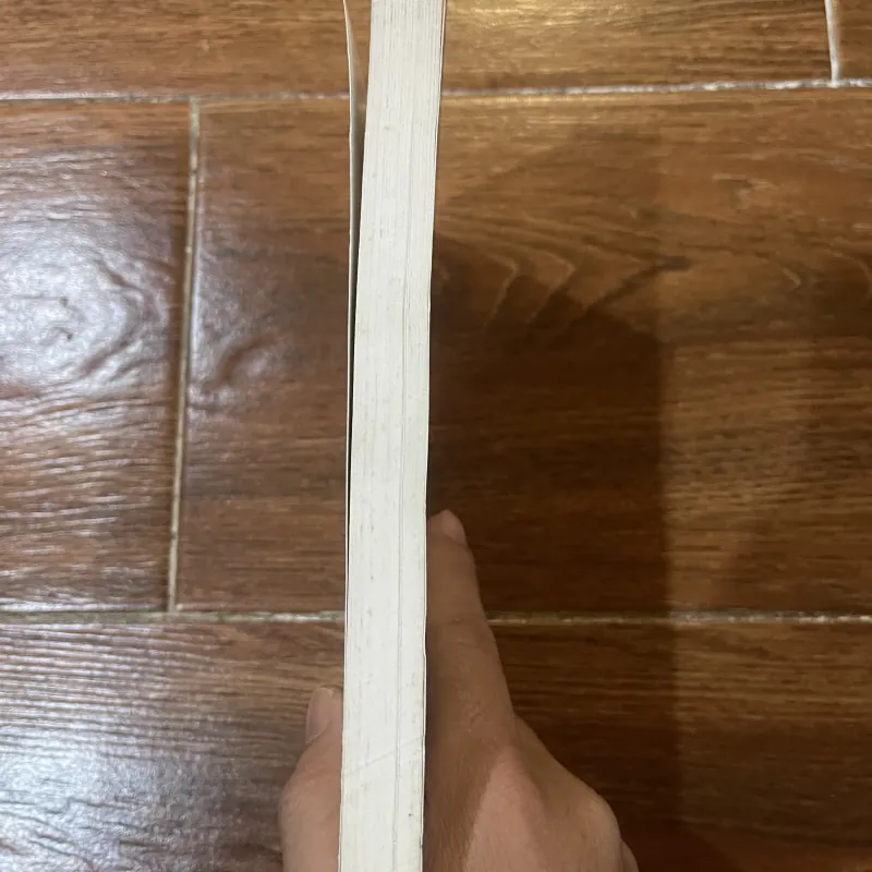 Nhà thờ công giáo ở thành phố Hồ Chí Minh - Hồ Tường (6) 769607