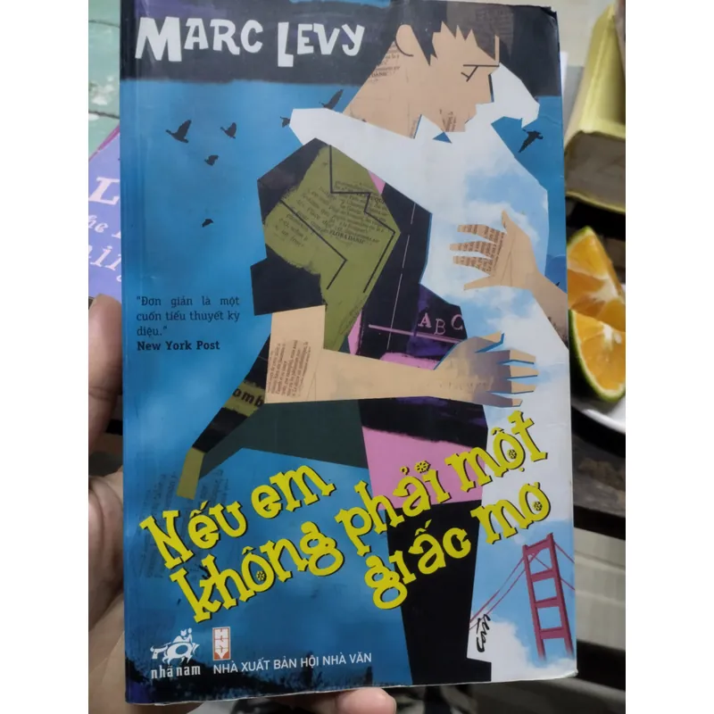 tiểu thuyết Nếu em không phải một giấc mơ (tên gốc tiếng Pháp: Et si c'était vrai...) 703775