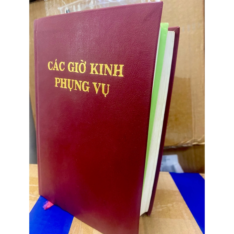 Các giờ kinh Phụng vụ 1995 543381