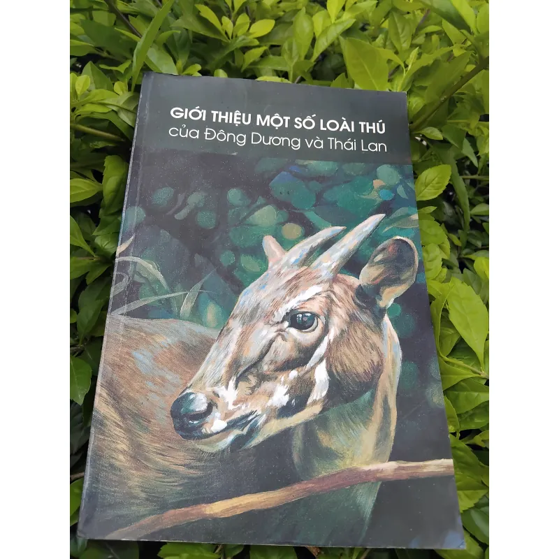 Giới thiệu một số loài thú của Đông Dương và Thái Lan 975216