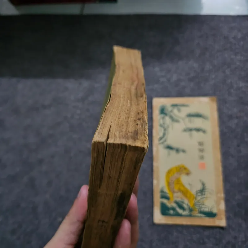 Nhà đồi - quang dũng 748544