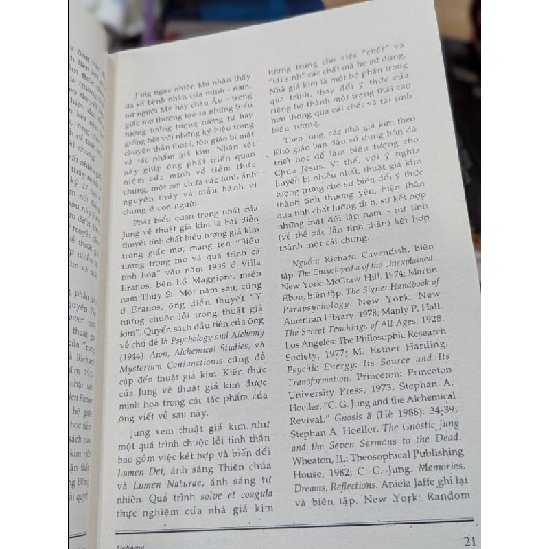 Từ điển tôn giáo và các thể nghiệm siêu việt - Rosemary Ellen Guiley 378965