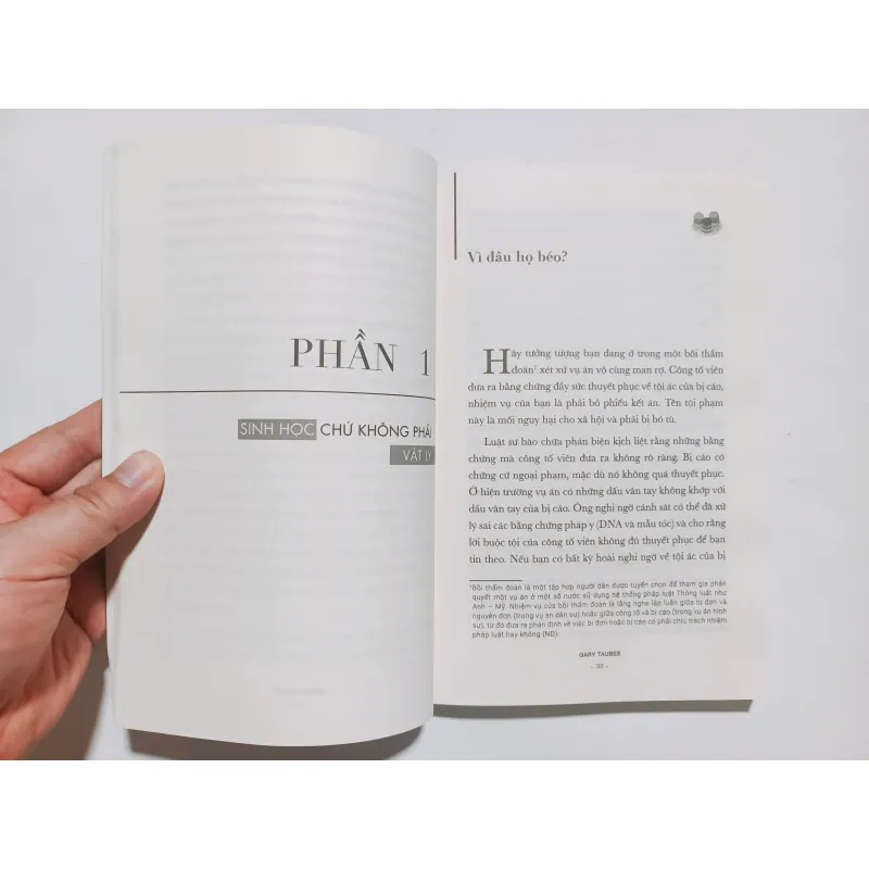 Vì Đâu Ta Béo 934077