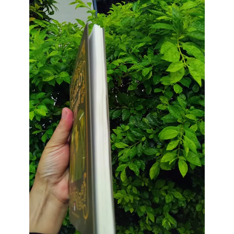 Romeo và Tuyết tự truyện của Jerry White 1000247