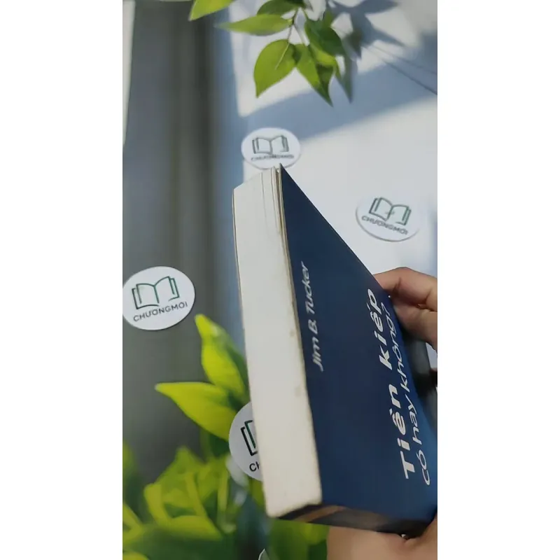 Tiền Kiếp - Có Hay Không? 705673