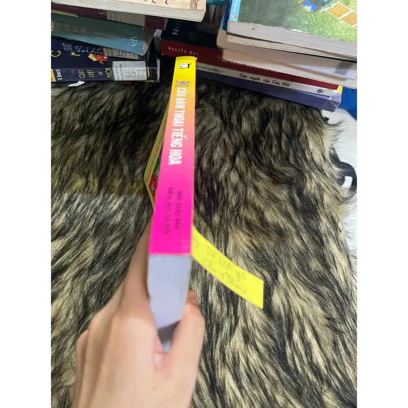 301 câu đàm thoại tiếng Hoa 598609