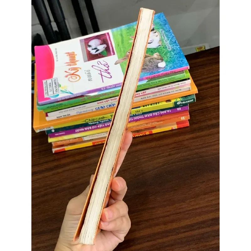 EQ – IQ: Em tập làm thám tử Conan 563577
