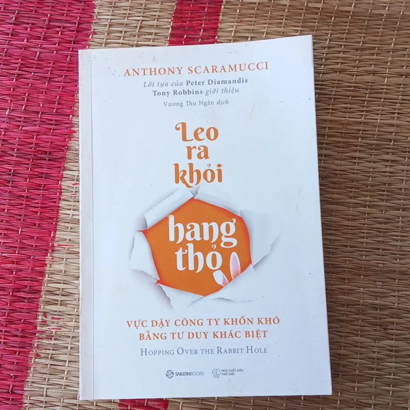 Leo ra khỏi hang thỏ 756633