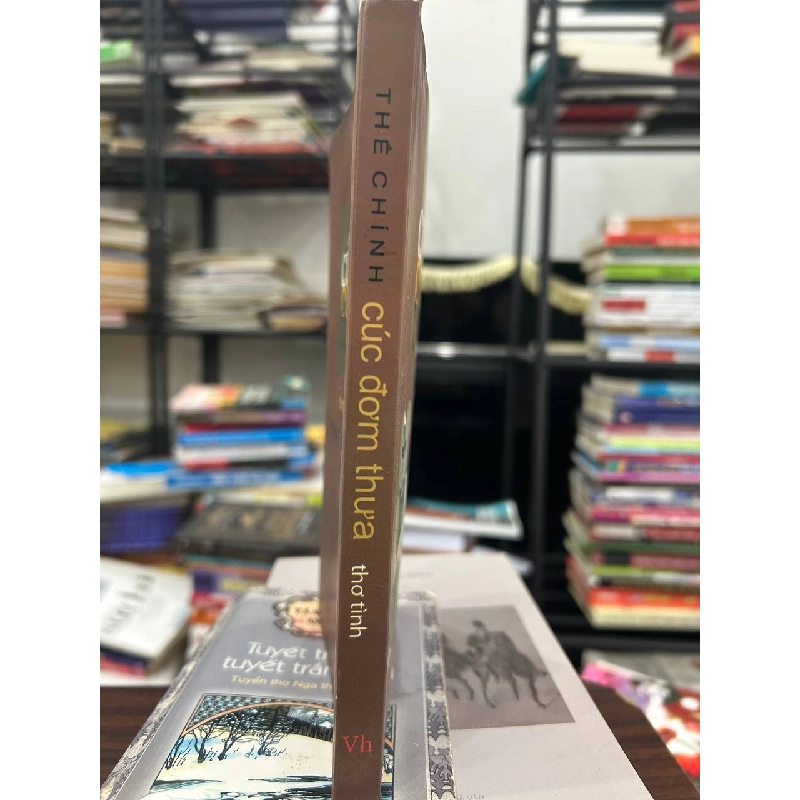 Cúc Dại Thua - Thế Chính 935154