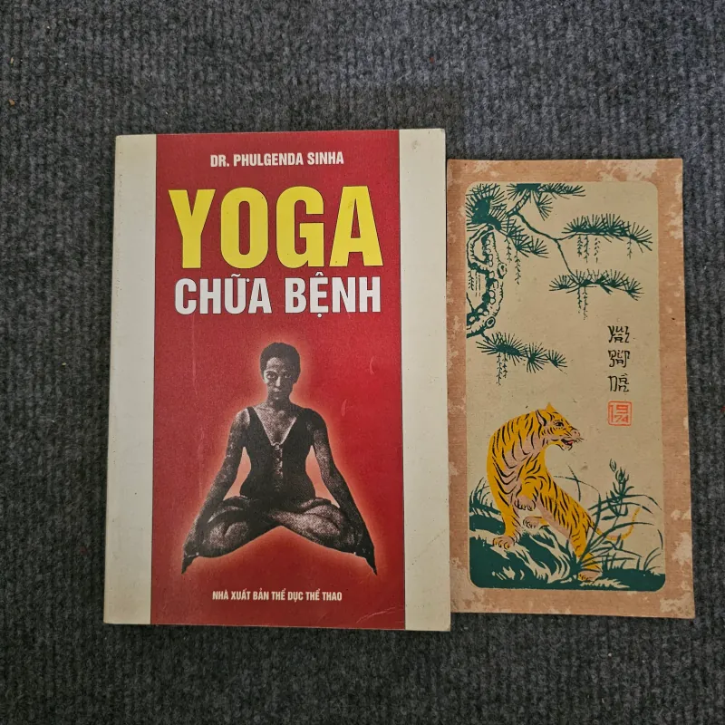 Yoga chữa bệnh 745893