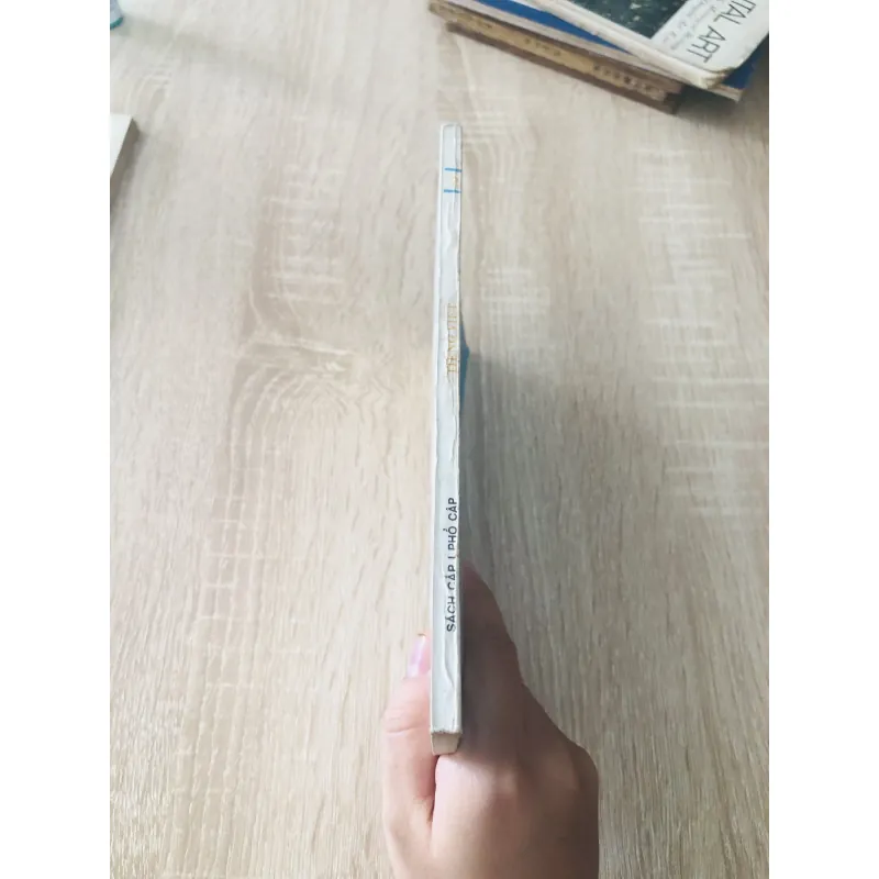 TIẾNG VIỆT 2 - sách cấp 1 phổ cập 1019144