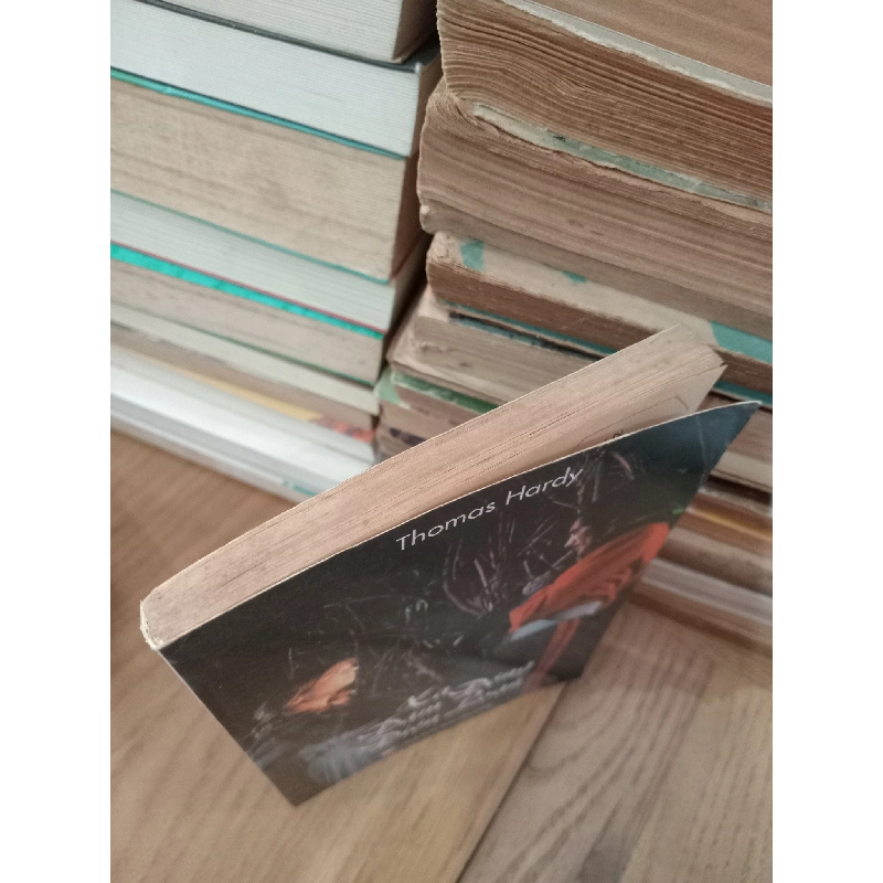 Xa Đám Đông Điên Loạn - Thomas Hardy 127023