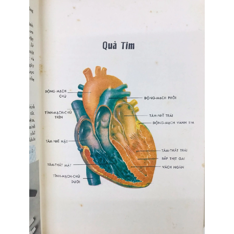 Sức khoẻ trường thọ - Lê Văn Khoa dịch ( in lần nhất quyển 1 ) 125834