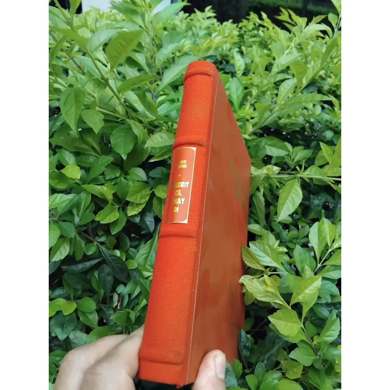 Rabbit ơi chạy đi của John Updike 936583