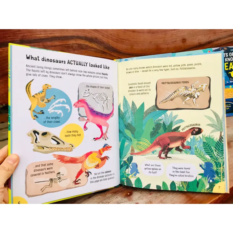 Usborne Lots of Things to Know About - Trọn bộ 5 cuốn - Bìa cứng 759599
