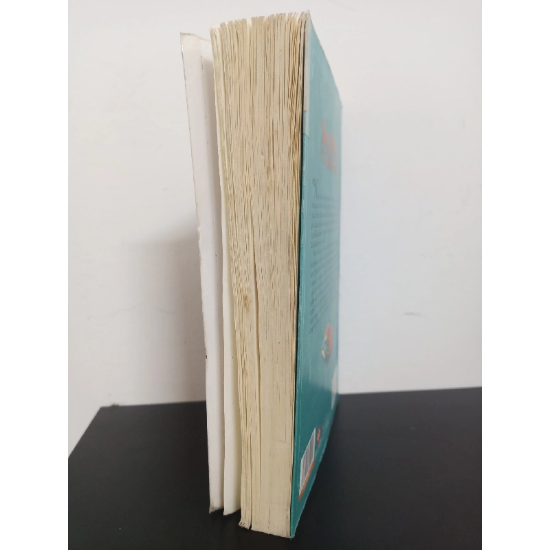 Bông Hồng Trên Ngọn Đồi Xanh (2020) - Louisa May Alcott Mới 80% HCM.ASB2301 913164