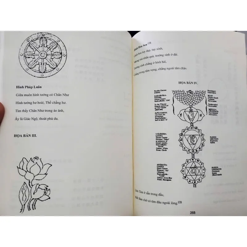 Sách thôi bối đồ  1023549