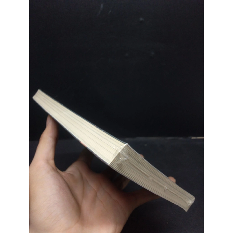 Dự Án Cháy Chợ (Tiểu thuyết) Trần Đạt Bạch Dương mới 95% HCM.ASB1003 338768
