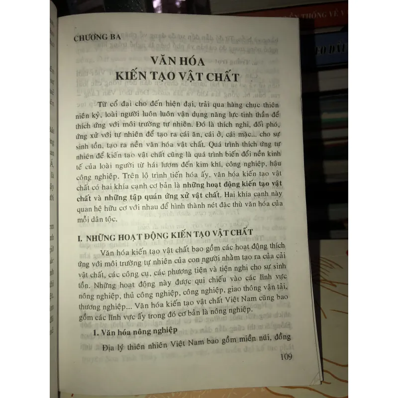 Cơ sở văn hóa Việt Nam - Lê Văn Chưởng 759691