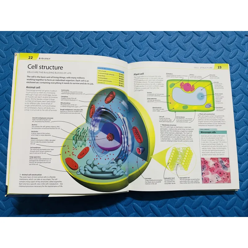 Help Your Kids With Science (DK) – Carol Vorderman 785242