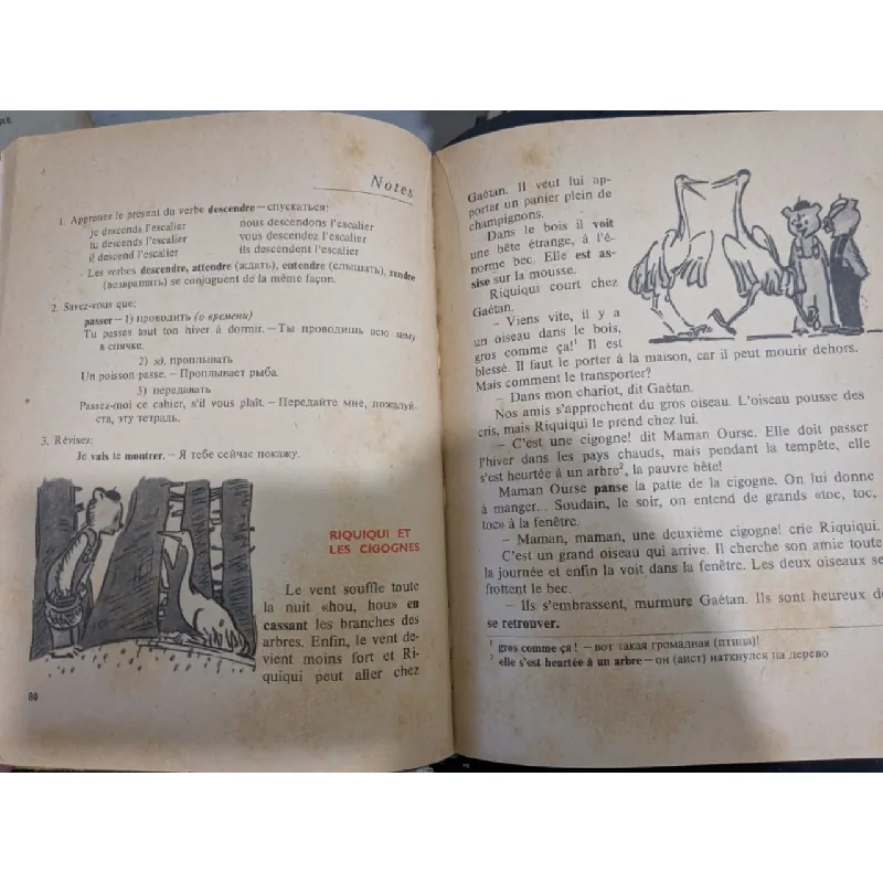 Roudoudou et Riquiqui 708800