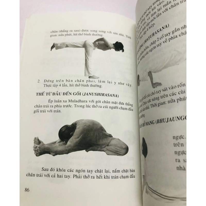 YOGA SỨC KHOẺ VÀ HẠNH PHÚC  275394