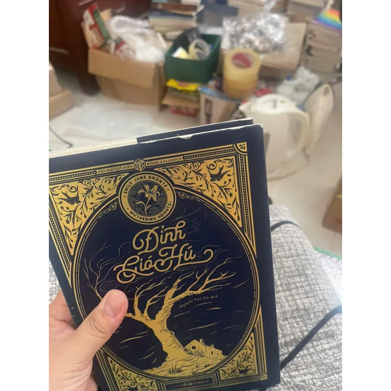 Đỉnh Gió Hú (Bìa Cứng) - Emily Jane Bronte, mới 80% (Hoi) 747779