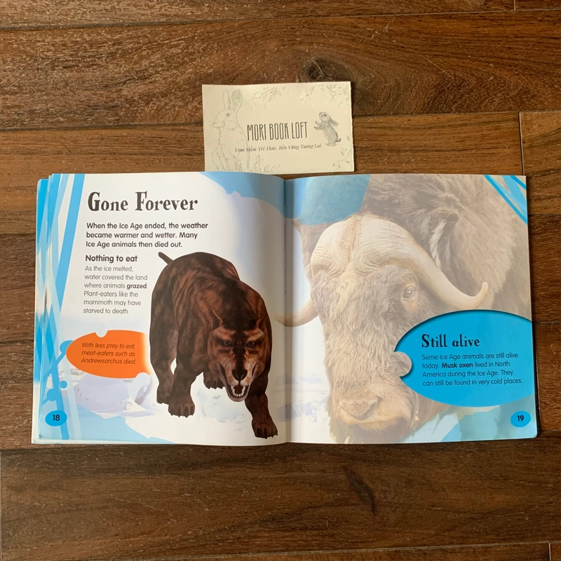 Sách ngoại văn Ice Age, Used 522851