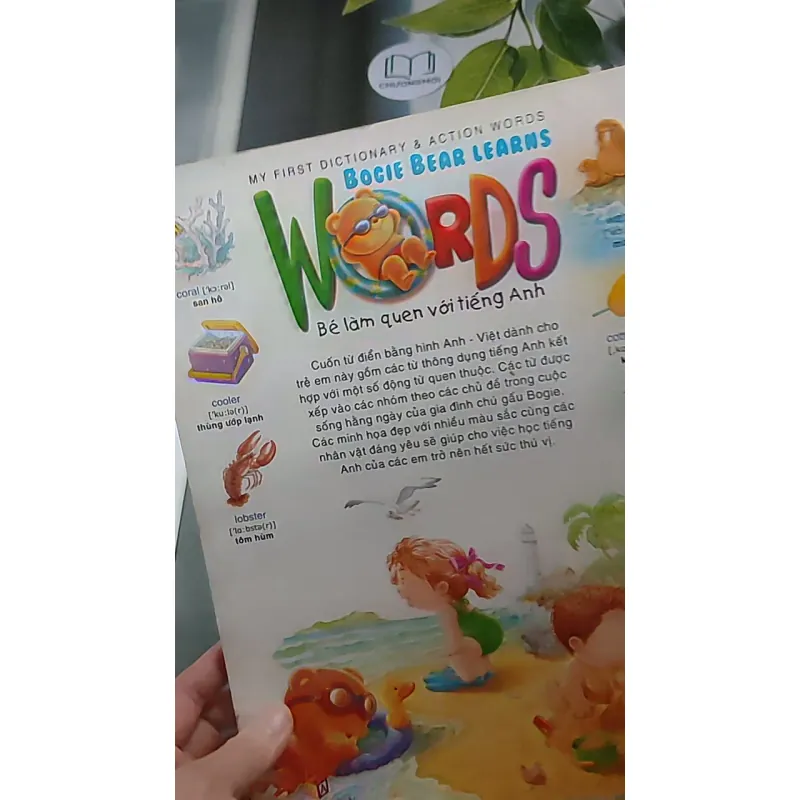 Gấu Bogie Học Từ - NXB Dân Trí - Đông A (Dan Tri - Dong A Publishing) 607708