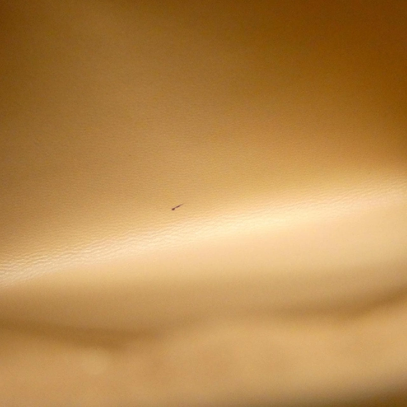 Túi Louis Vuitton Capucines MM M22206 619237